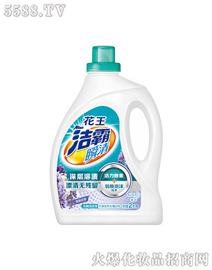 �Ϻ��������޹�˾������˲��o��ϴ��Һ�����ٻ��㣩2kg