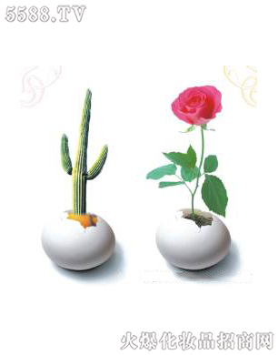 �Ϻ���������Ƽ����޹�˾����ǻ�ޏ�(f��)3��ɆT