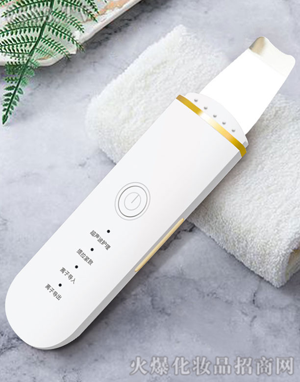 ��ɽ�м�������Ƽ����޹�˾�������PƤ�x