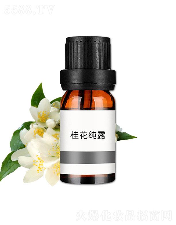 �V�݊��n����Ƽ����޹�˾�����n�𻨼�¶