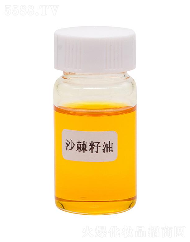 ������˹�����Ƽ����޹�˾����˹�ɳ������