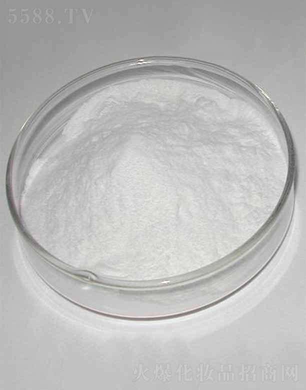 �ɶ������������޹�˾������-9/������/������