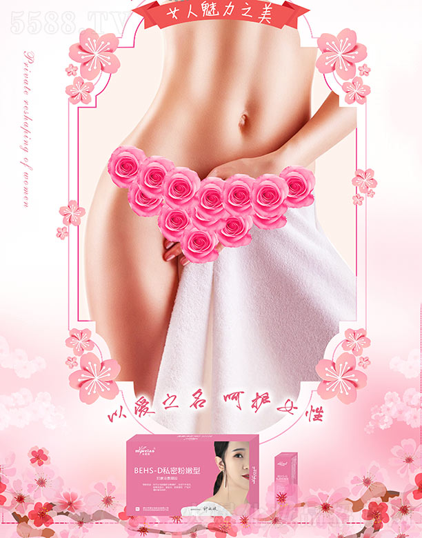 ������������Ƽ����޹�˾����ޱ�WBEHS-D˽�ܷ����ͣ��D��������z��