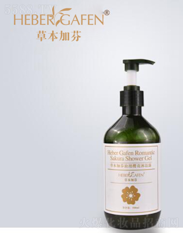 �ݱ��ӷ�����Ƽ����޹�˾���ݱ��ӷ������ѻ���ԡ¶