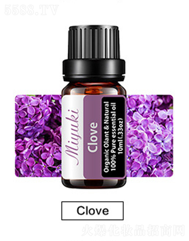 �V���׋I����Ƽ����޹�˾���o�w��޹��Ħ��-Clove����