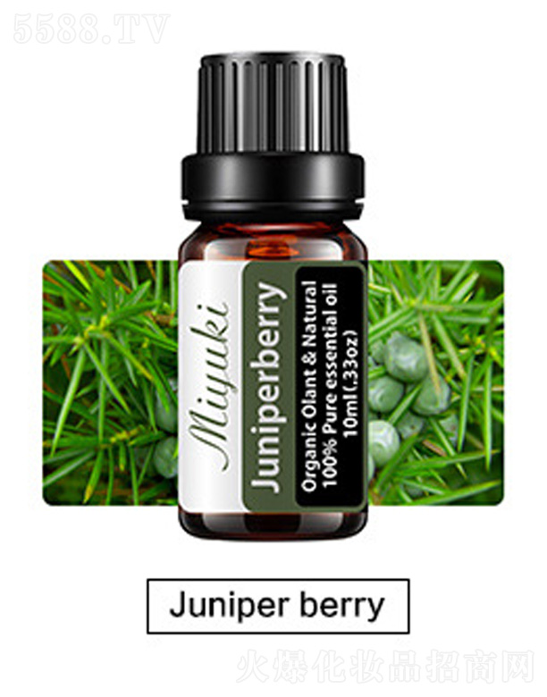 �V���׋I����Ƽ����޹�˾���o�w��޹��Ħ��-Juniper berry������