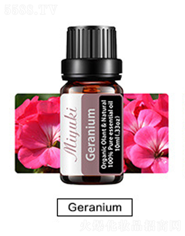 �V���׋I����Ƽ����޹�˾���o�w��޹��Ħ��-Geranium���ÿ�