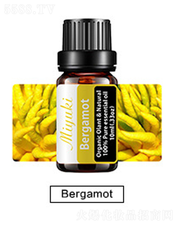 �V���׋I����Ƽ����޹�˾���o�w��޹��Ħ��-Bergamot���ָ�
