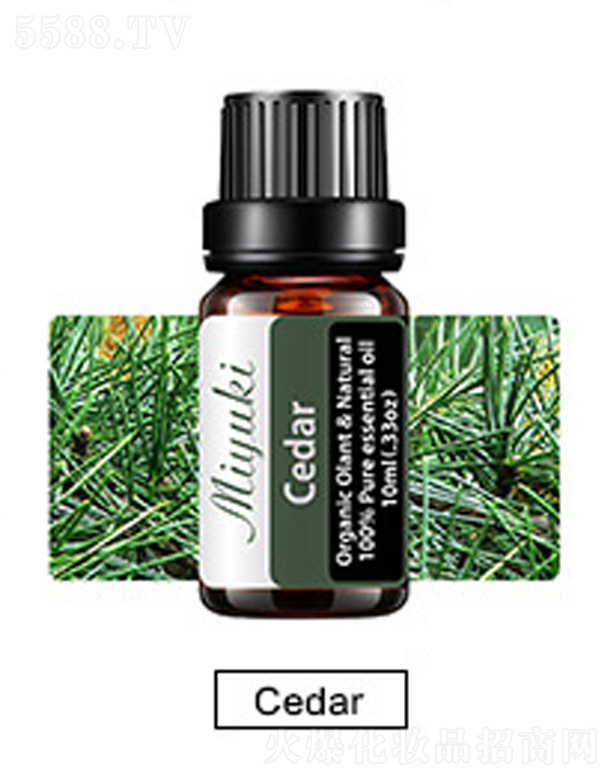 �V���׋I����Ƽ����޹�˾���o�w��޹��Ħ��-ѩ��