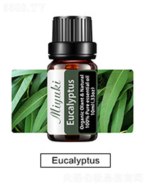 �V���׋I����Ƽ����޹�˾���o�w��޹��Ħ��-Eucalyptus���