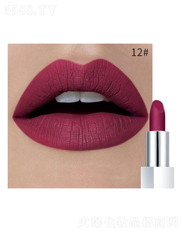 ���ڐ�ӯ�Q�����޹�˾��Pudaier�貽z�q�ڼt12#