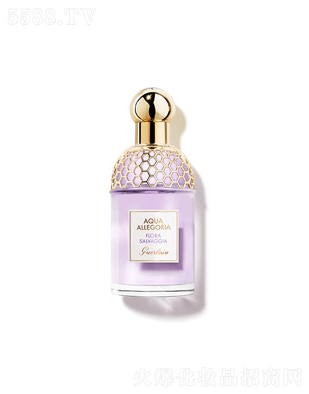 ·����܎��ˮ���yƷ(�Ϻ�)���޹�˾�����m����ˮ�Z����ˮ����Ұ��ۙ��30ml ���Ϻ��C���{(di��o)-����-Ұ�����C���{(di��o)