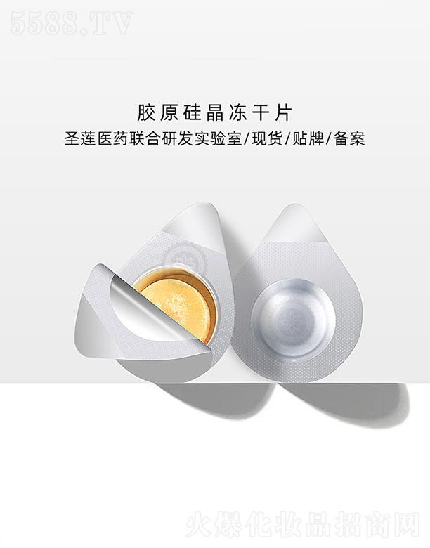 �V��ʥɏ�t(y��)ˎ�Ƽ����޹�˾���V��ʥɏ  ʥɏ�����zԭ�辧����Ƭ   ���w���o