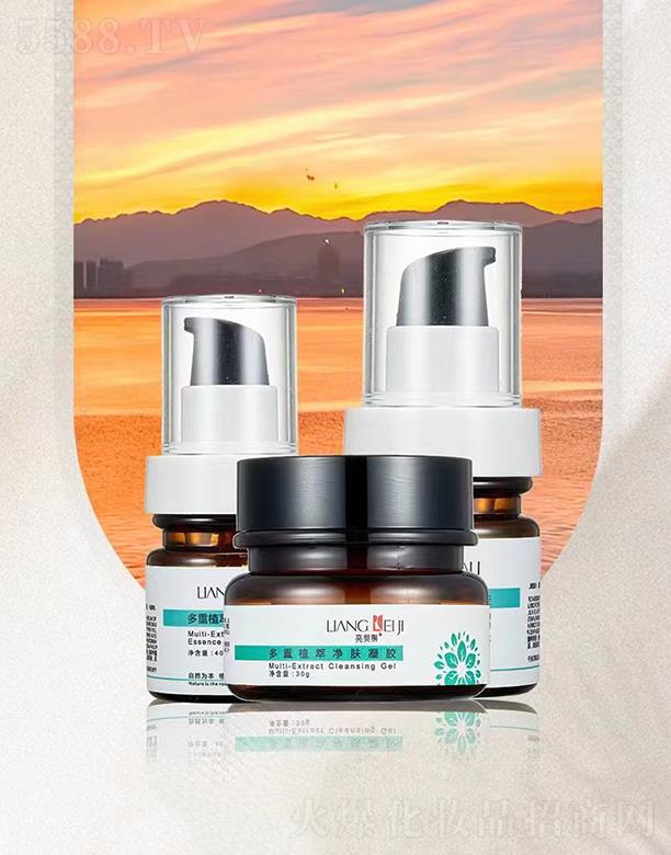 �V���e������Ƽ����޹�˾������������ֲ�̓��w������