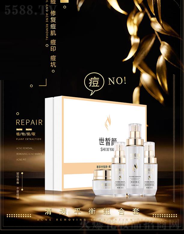 �V���ư�����Ƽ����޹�˾��������͸ƽ��M����