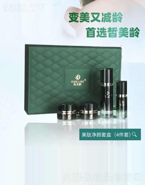 ����g����Ƽ��������޹�˾������g���ă���׺�(4����)