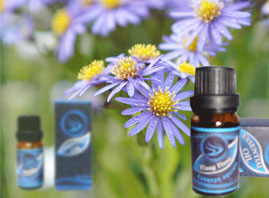 �Ϻ��ض���(gu��)�H�Q(m��o)�����޹�˾