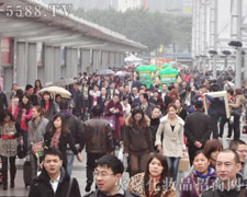 �𱬾W(w��ng)��η���y��Ŭ����ǰ