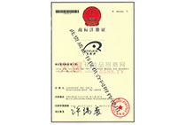 ����(gu��)ʥ������F(tu��n)ע��(c��)�̘�(bi��o)�C