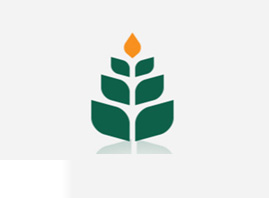 ��������Դˎ���͏S