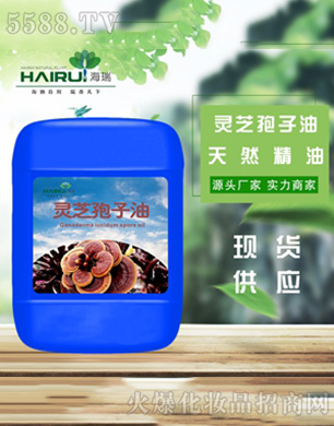 �����`֥���Ӿ���