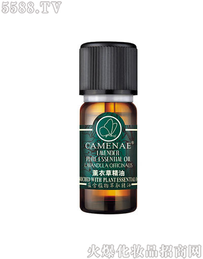 ���Ę�(l��)޹�²ݰٴ��