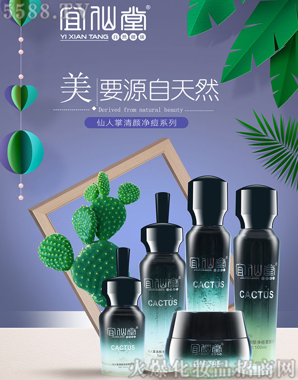 �����������������ϵ��