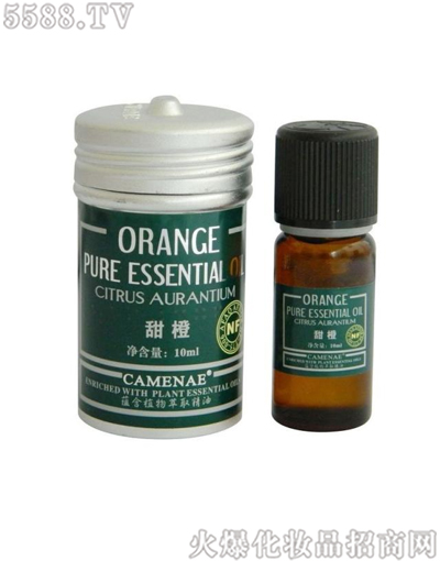 ���Ę���������Ⱦ���