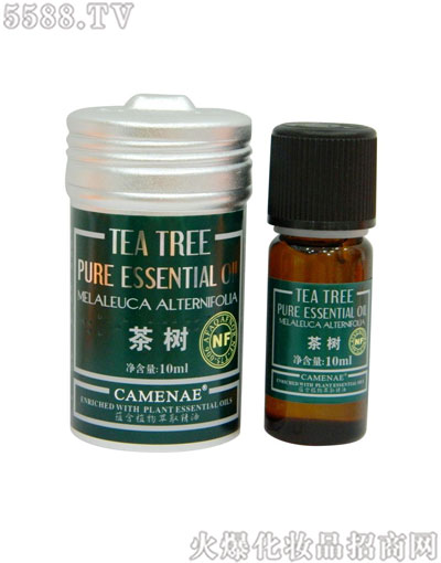 ���Ę�(l��)������(l��)���(sh��)����