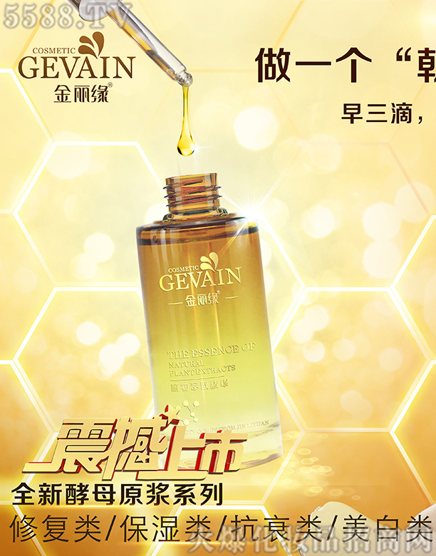 ��������ĸ������ĺ��