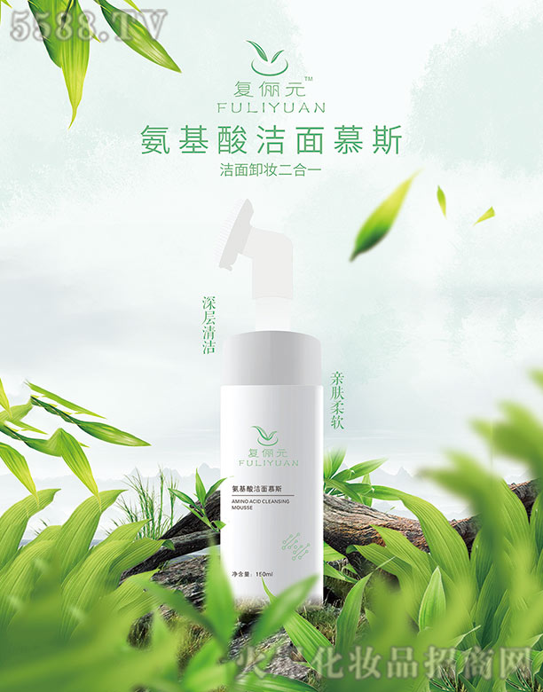 �̓�Ԫ�����ᝍ��Ľ˹