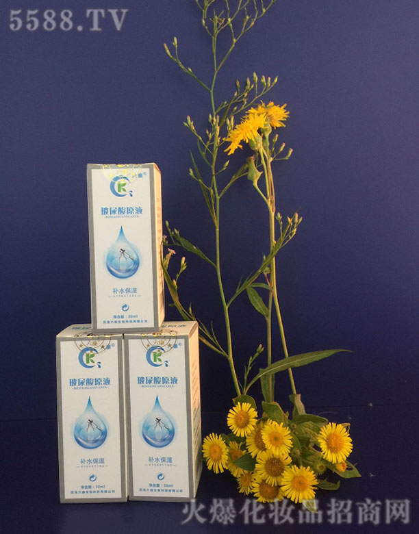 ������ԭҺ