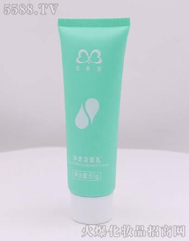 ��͸������