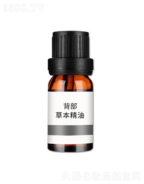 ���n�����ݱ�����