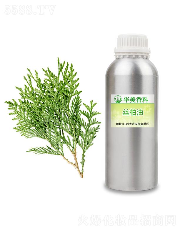 �A���z����