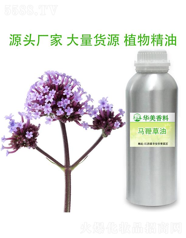 �A���R�޲���