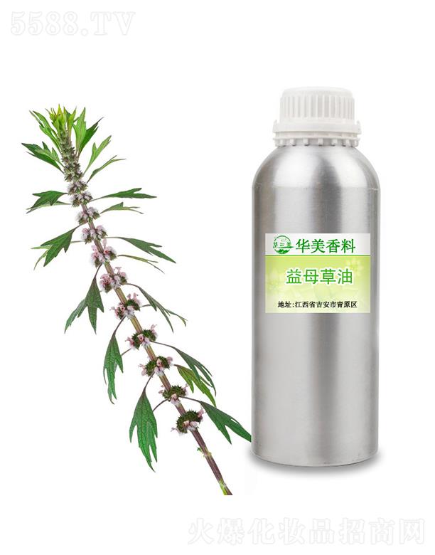 �A����ĸ����