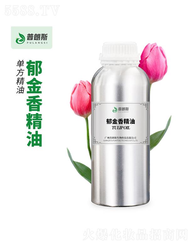 ����˹�����㾫��