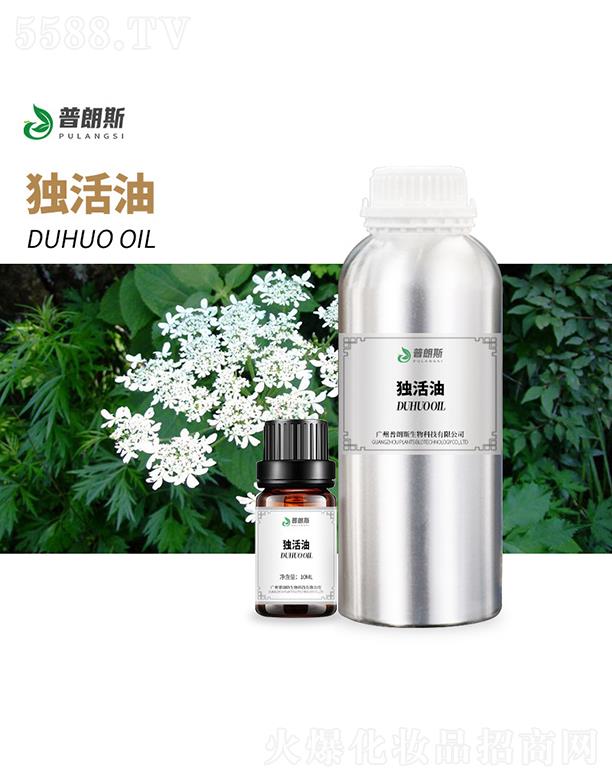 ����˹������