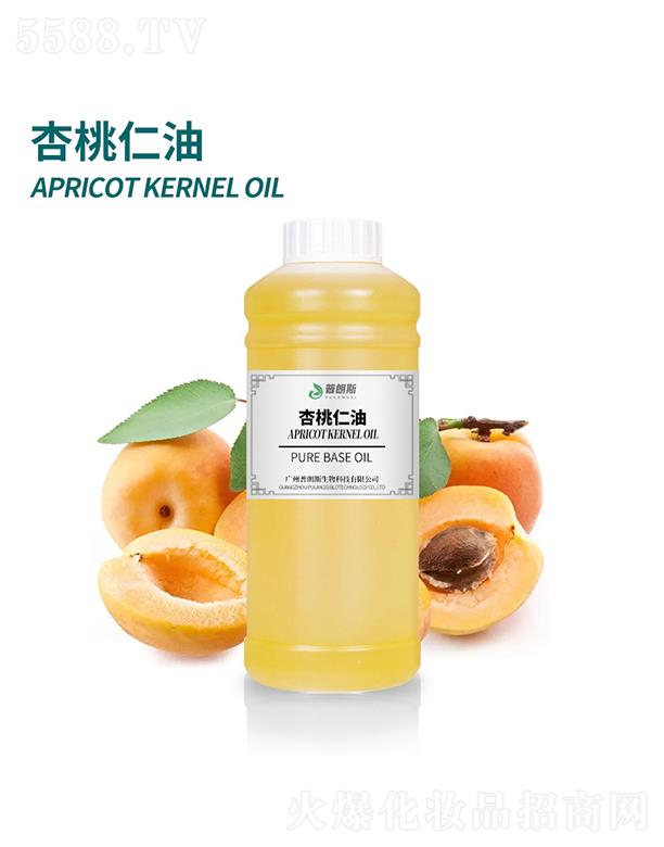 ����˹��������