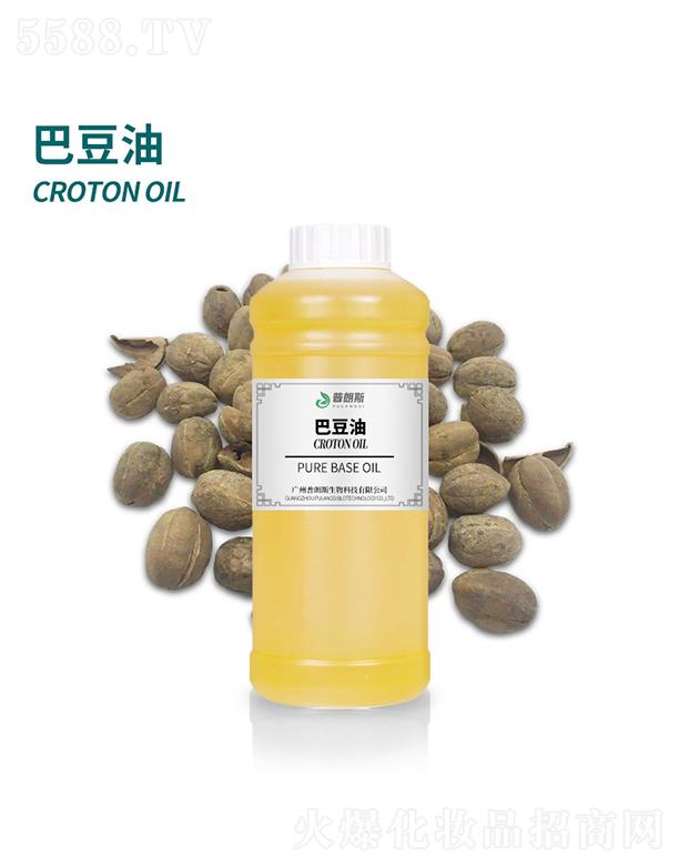 ����˹�Ͷ���