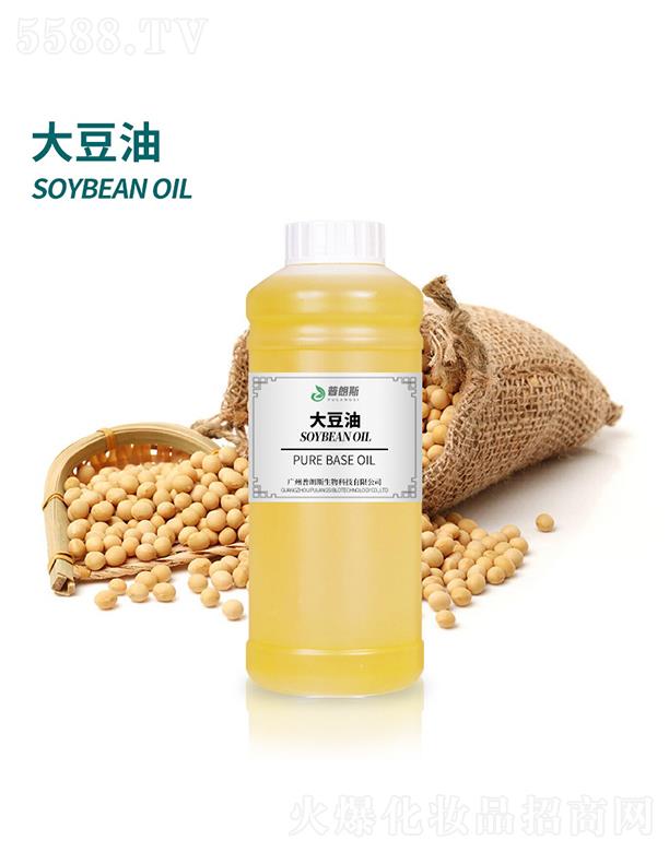 ����˹����