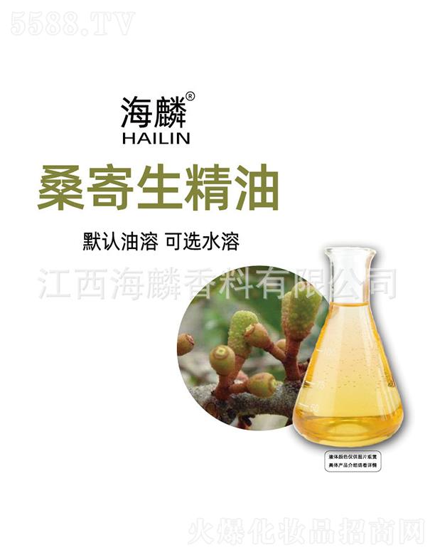 ����ɣ��������