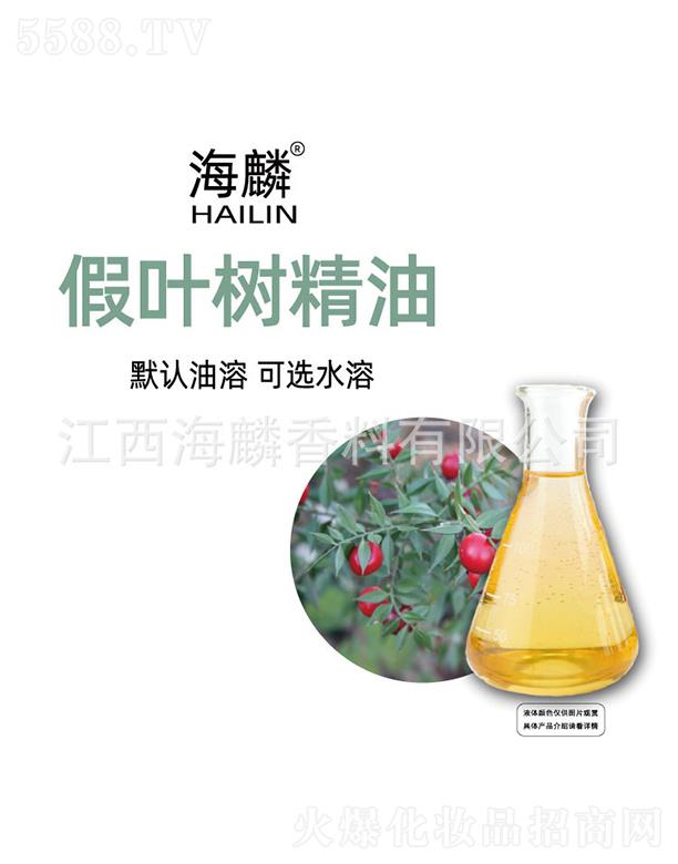 ������~�侫��