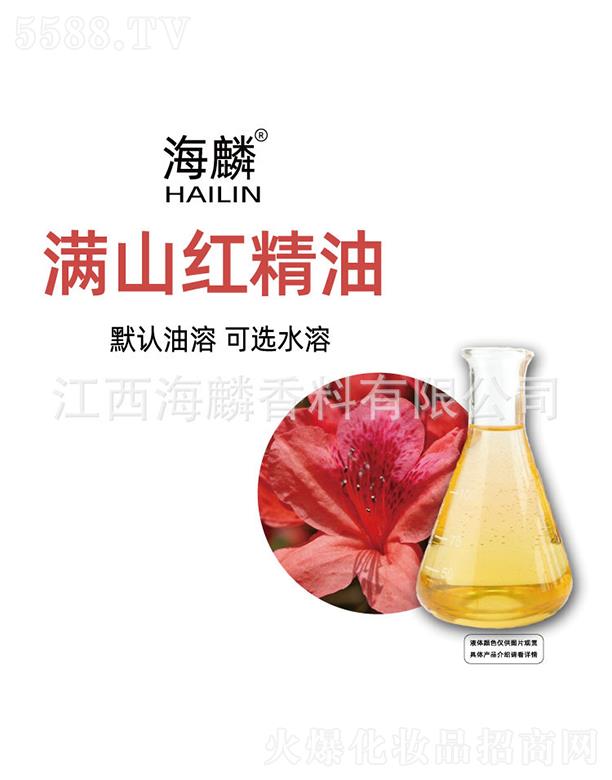 ����Mɽ�t����