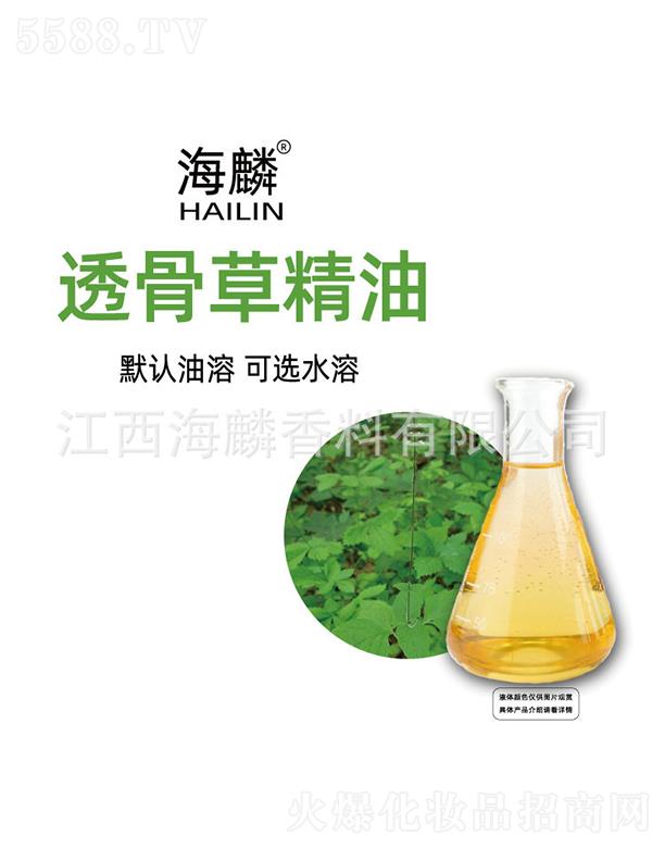 ����͸�ǲݾ���