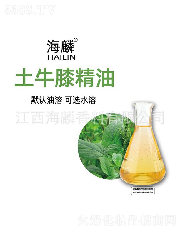 ������ţϥ����