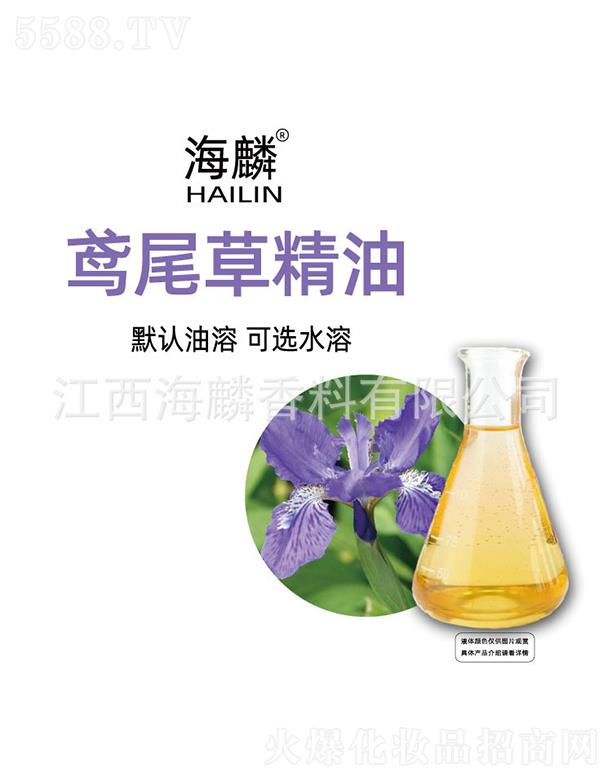 �����Sβ�ݾ���