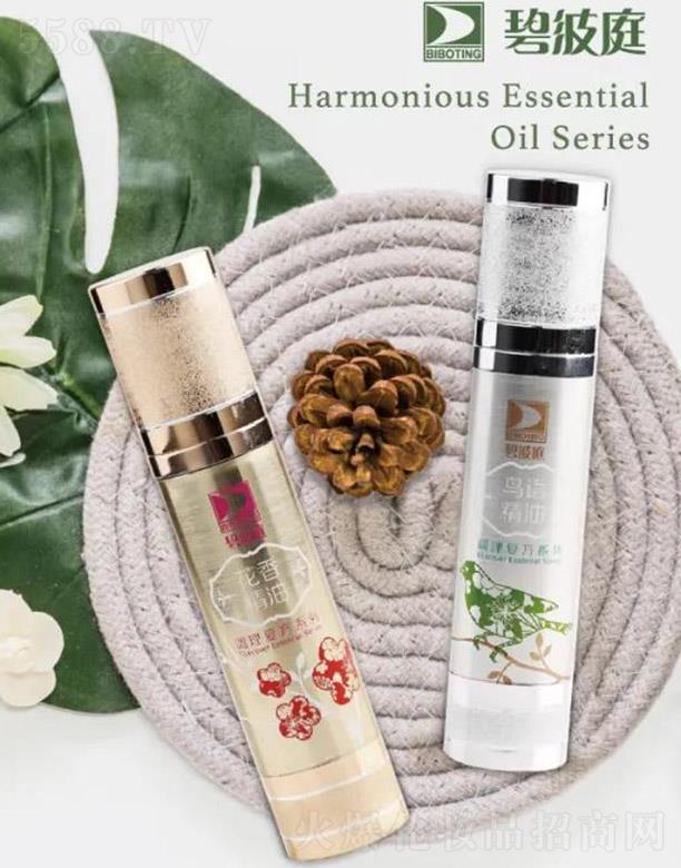 �̲�ͥ�B�Z���㾫��ϵ��