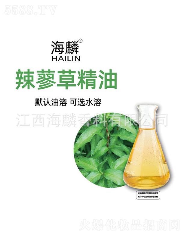 ������ޤ�ݾ���